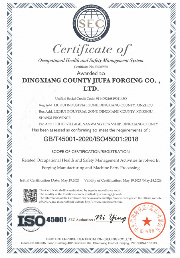 職業(yè)健康安全管理體系認證證書（英文）